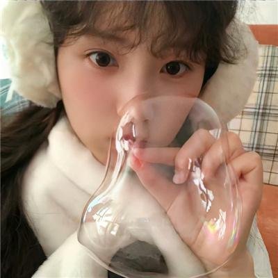 动物宝宝