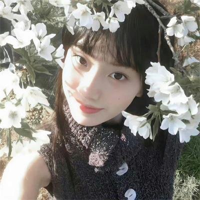 人鱼恋爱法则第二季